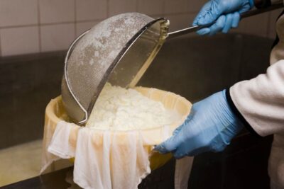 Dal latte al formaggio: Il processo di produzione del formaggio
